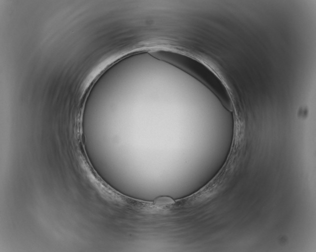 X0000112101101200908041107