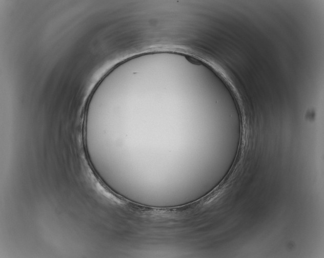 X0000112101102200908041107