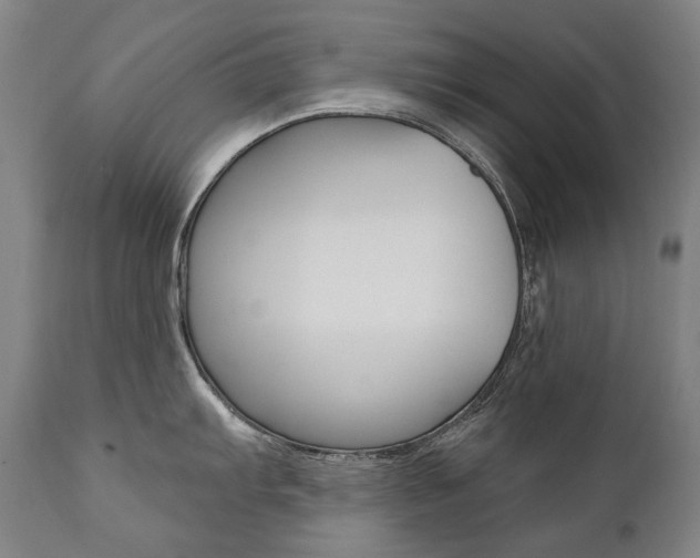X0000112101103200908041107