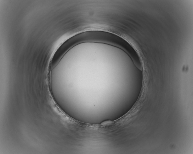 X0000112101104200908041107