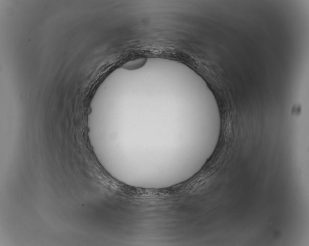 X0000112101105200908041106