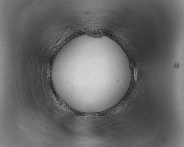 X0000112101107200908041106