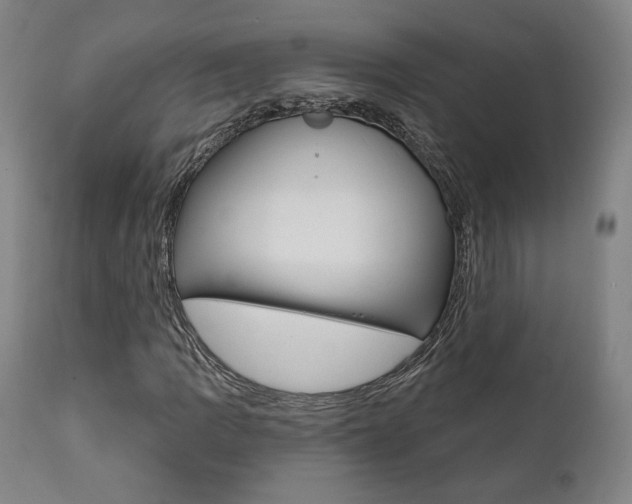 X0000112101109200908041106