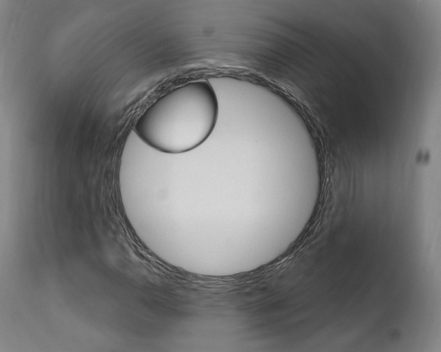 X0000112101110200908041106