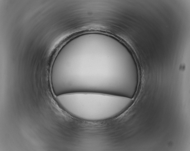 X0000112101115200908041106