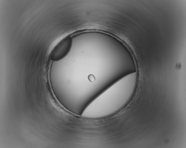 X0000112101120200908041106