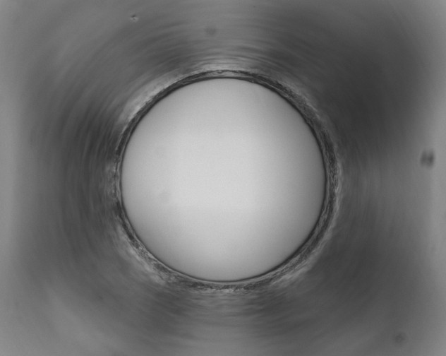 X0000112101121200908041106