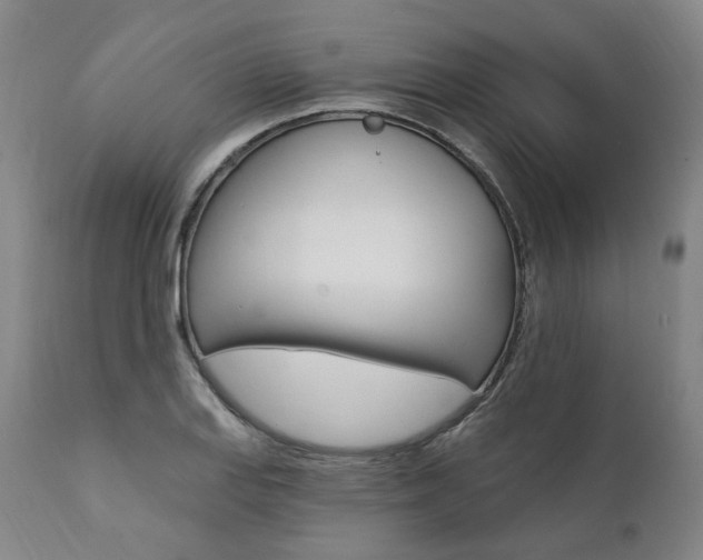 X0000112101127200908041106
