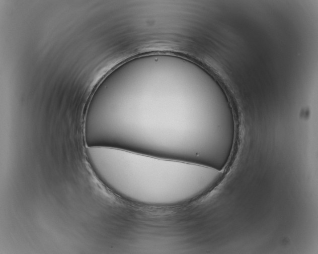 X0000112101129200908041106