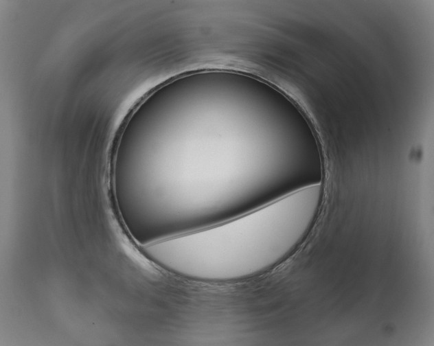X0000112101136200908041106