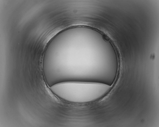 X0000112101137200908041106