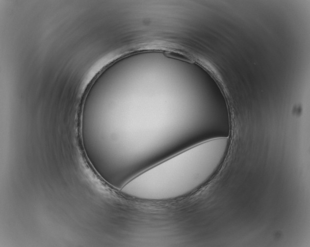 X0000112101138200908041106