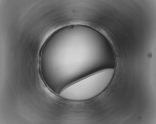 X0000112101140200908041107
