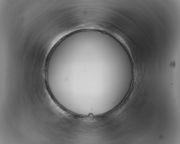 X0000112101141200908041107