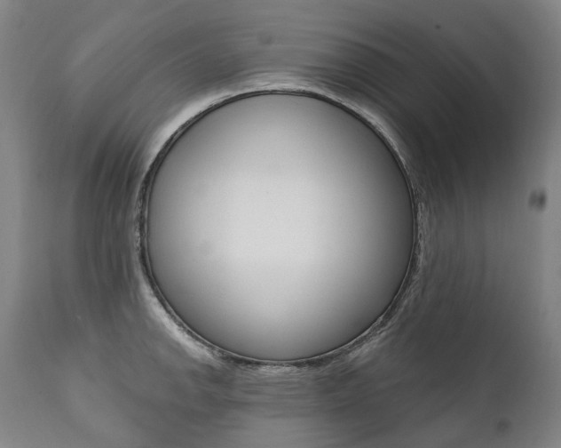 X0000112101142200908041107
