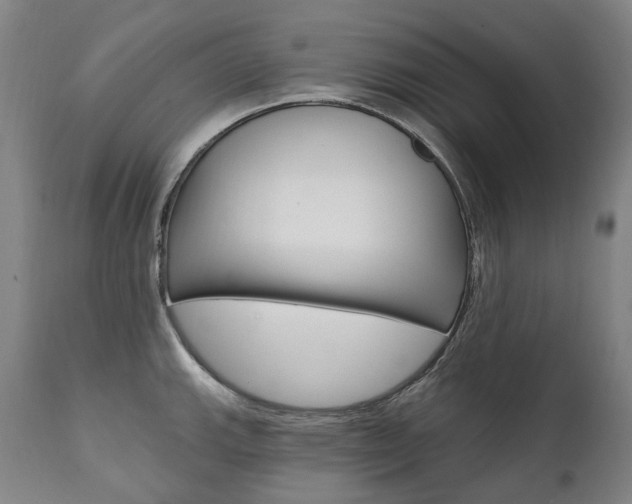 X0000112101143200908041107
