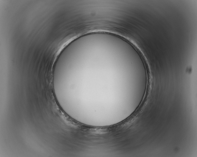 X0000112101145200908041107