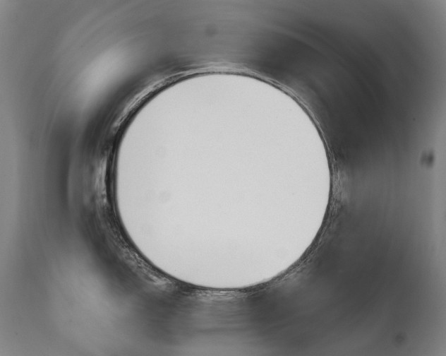 X0000112101150200908041107