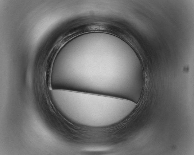 X0000112101151200908041107