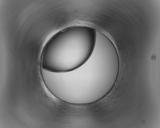 X0000112101152200908041107