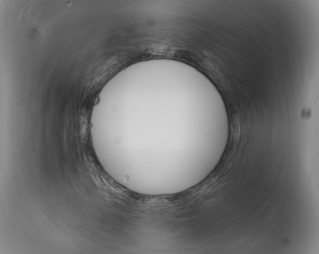 X0000112101154200908041106