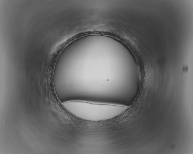 X0000112101159200908041106