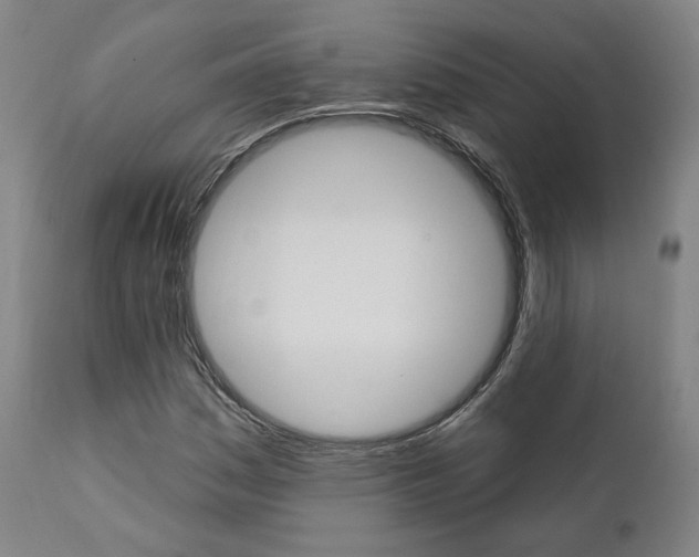 X0000112101161200908041106