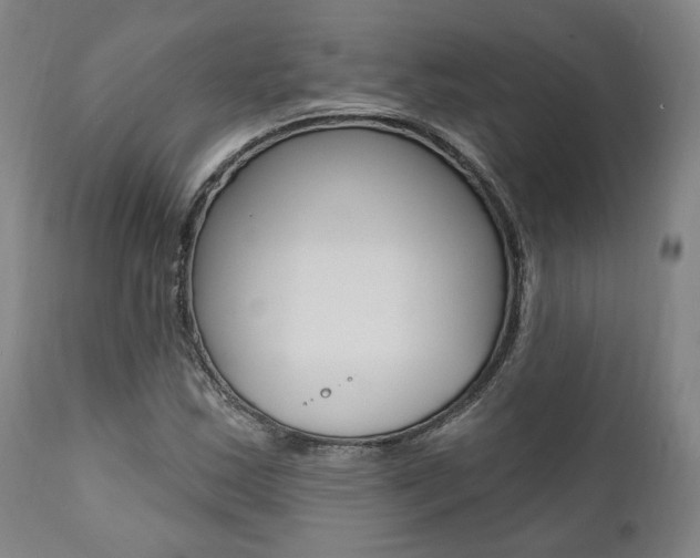 X0000112101163200908041106
