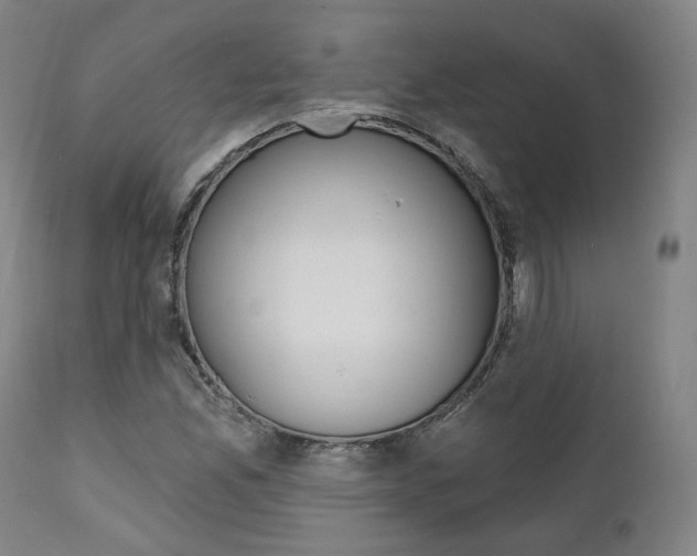 X0000112101165200908041106