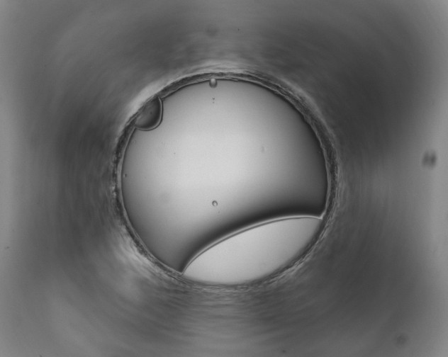 X0000112101168200908041106