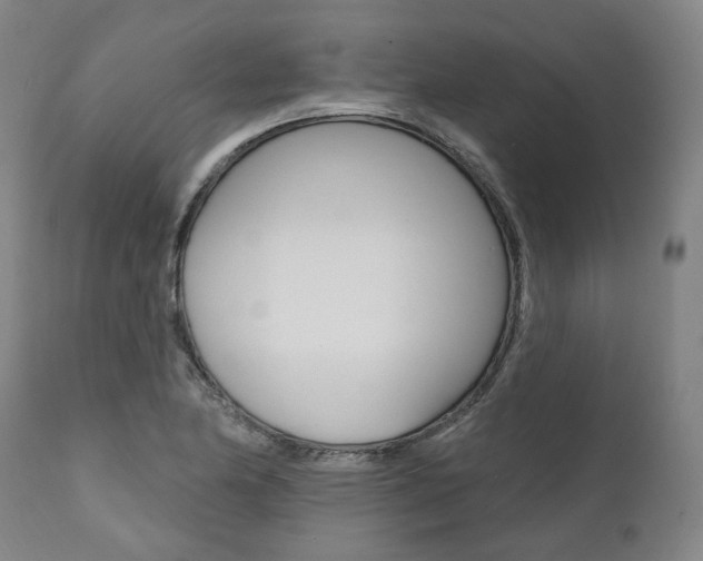 X0000112101174200908041106