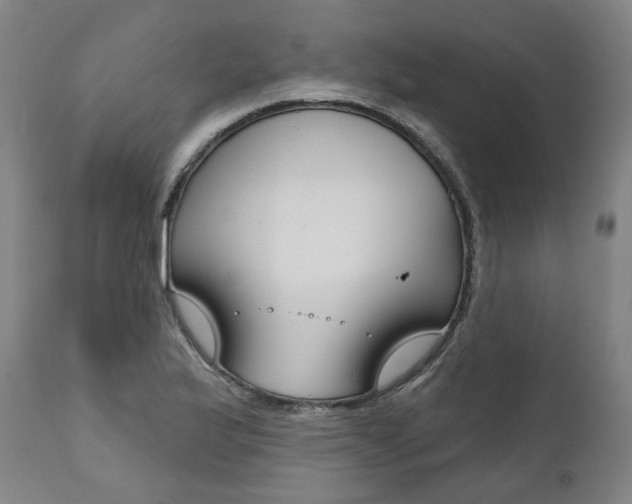 X0000112101175200908041106