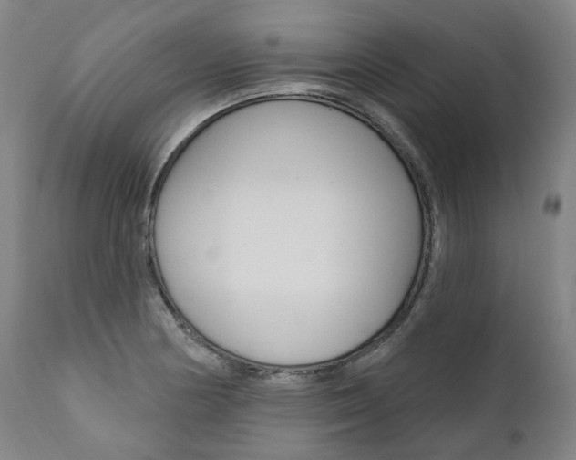 X0000112101178200908041106