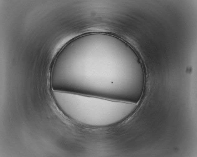 X0000112101179200908041106