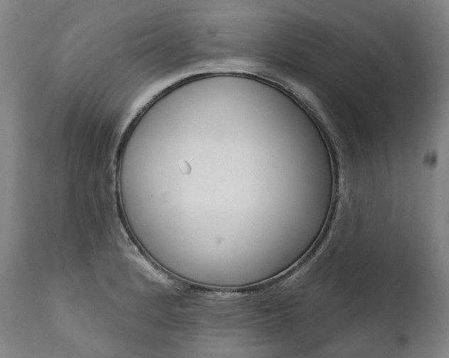 X0000112101184200908041106