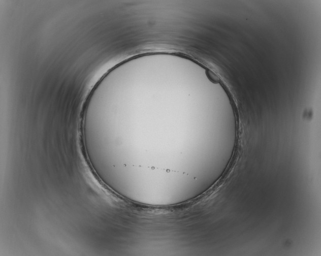 X0000112101187200908041106
