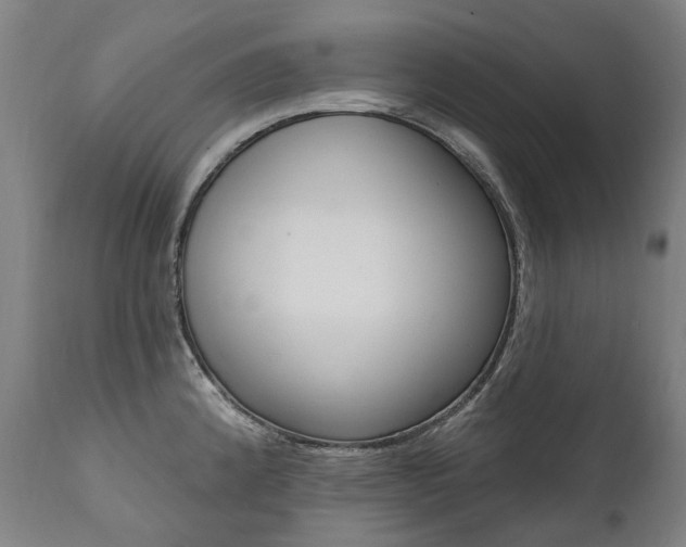 X0000112101192200908041105