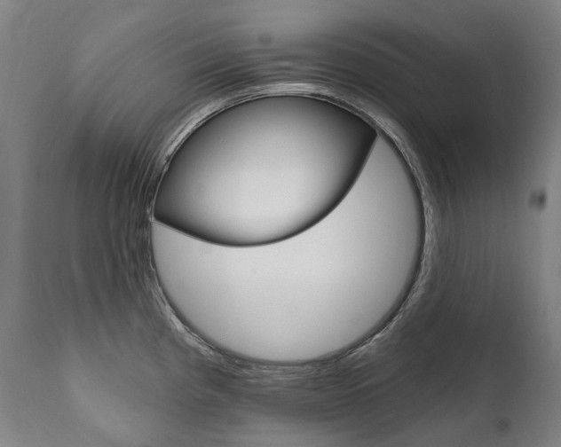 X0000112101193200908041105