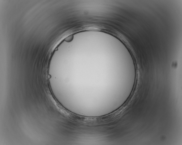 X0000112101194200908041105