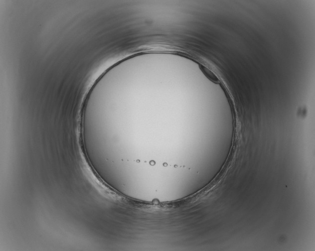 X0000112101195200908041105