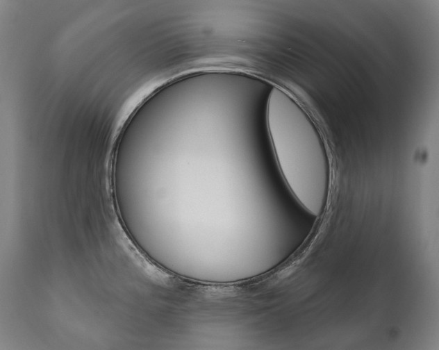 X0000112101196200908041105