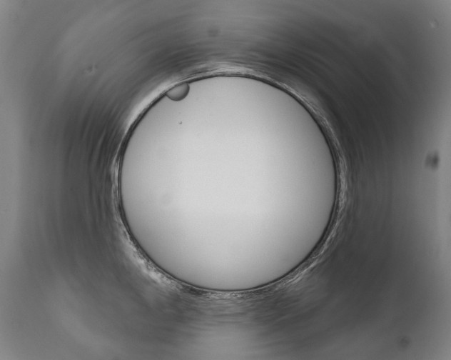 X0000112101198200908041105