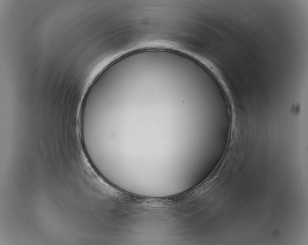 X0000112101199200908041105