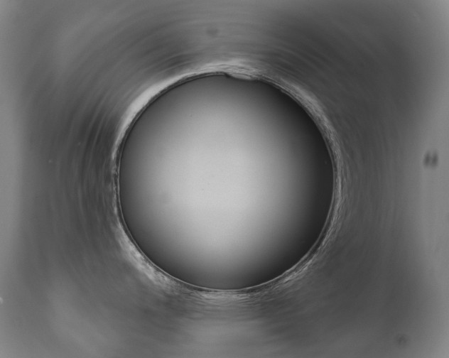 X0000112101200200908041105