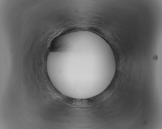 X0000112101201200908041104