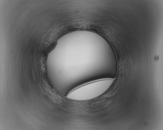 X0000112101202200908041104