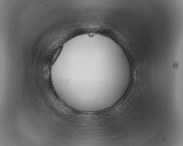 X0000112101204200908041104