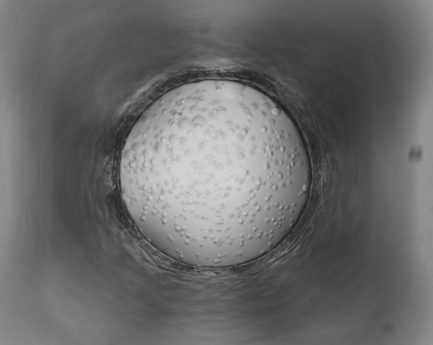 X0000112101205200908041104