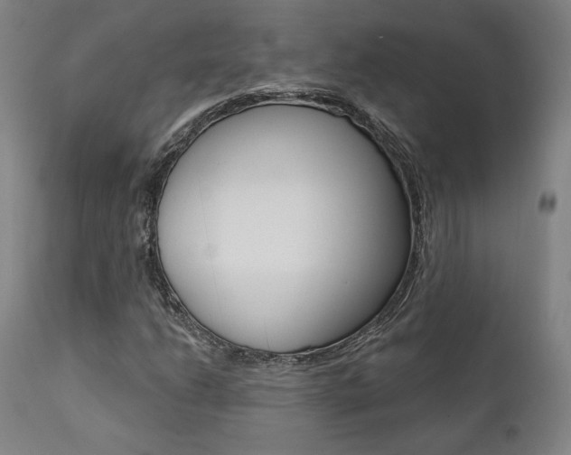 X0000112101206200908041104