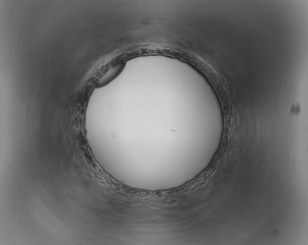 X0000112101207200908041104